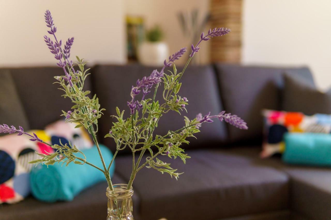 Felix Apartment Rovinj Dış mekan fotoğraf